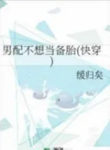 Ảnh truyện Nam Phụ Không Muốn Làm Lốp Xe Dự Phòng [Xuyên Nhanh]